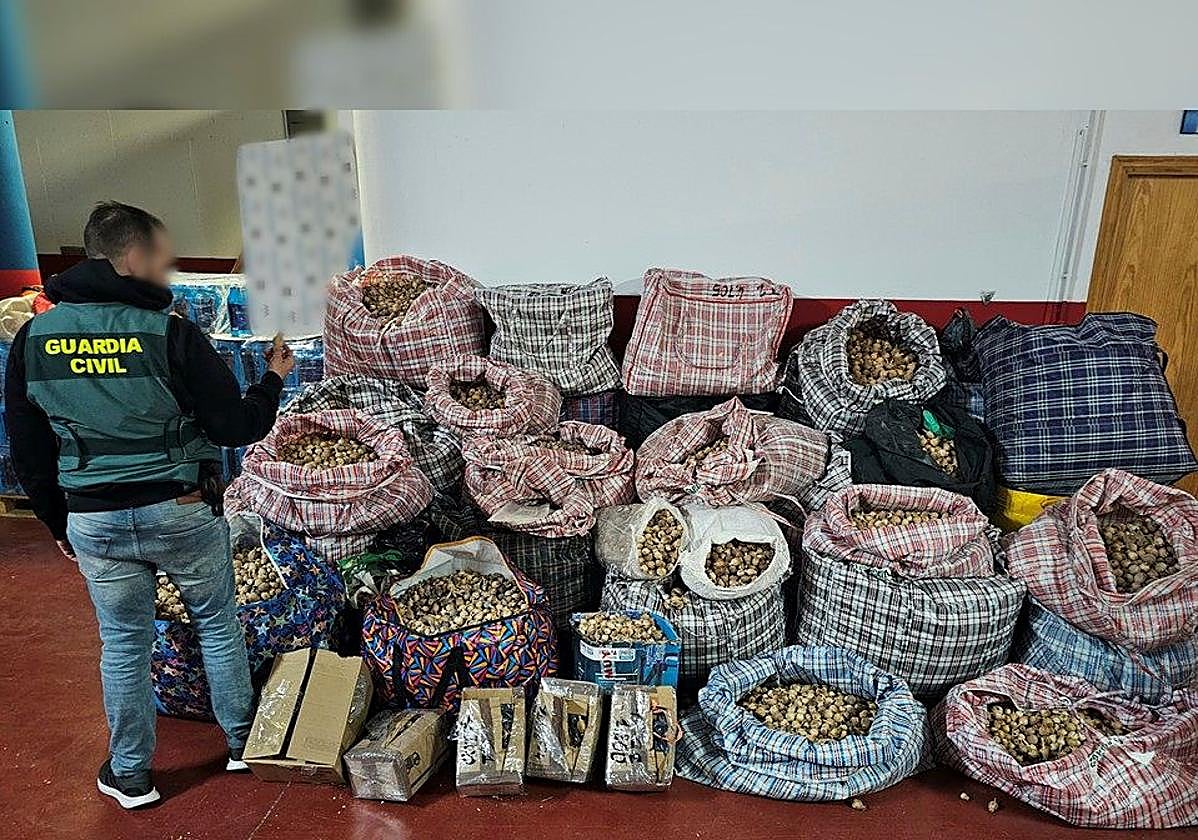 Bolsas localizadas por la Benemérita durante el registro realizado en los domicilios de Los Alcázares.