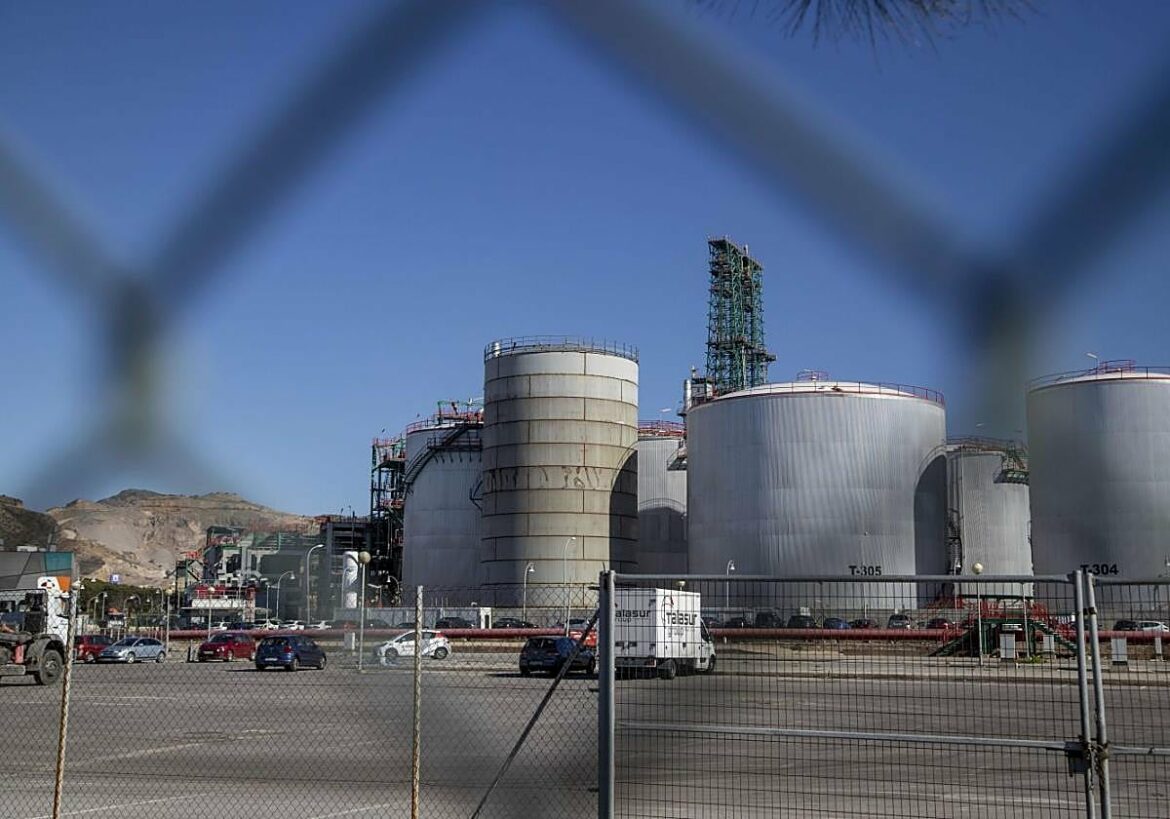 Ocho empresas al día se crearon en la Región de Murcia en el mejor año desde antes de la crisis