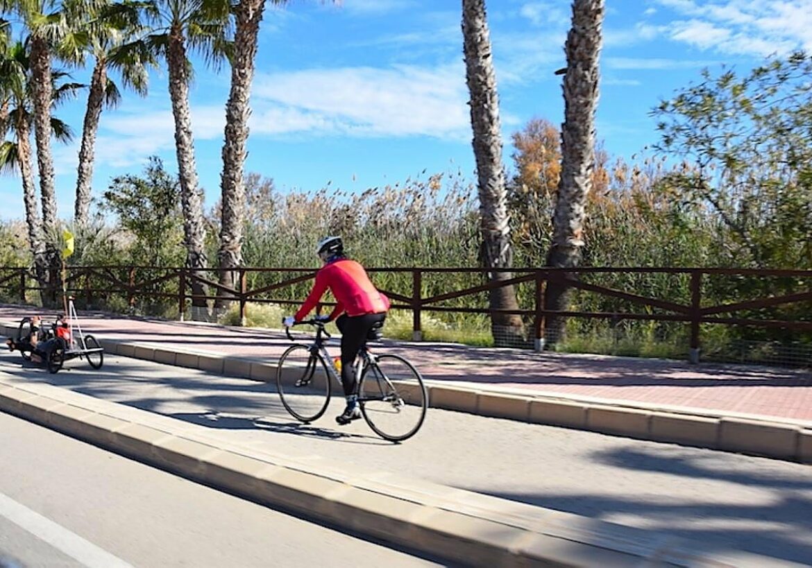 La avenida del Puerto de San Pedro tendrá un mirador para ver las aves del Parque de las Salinas