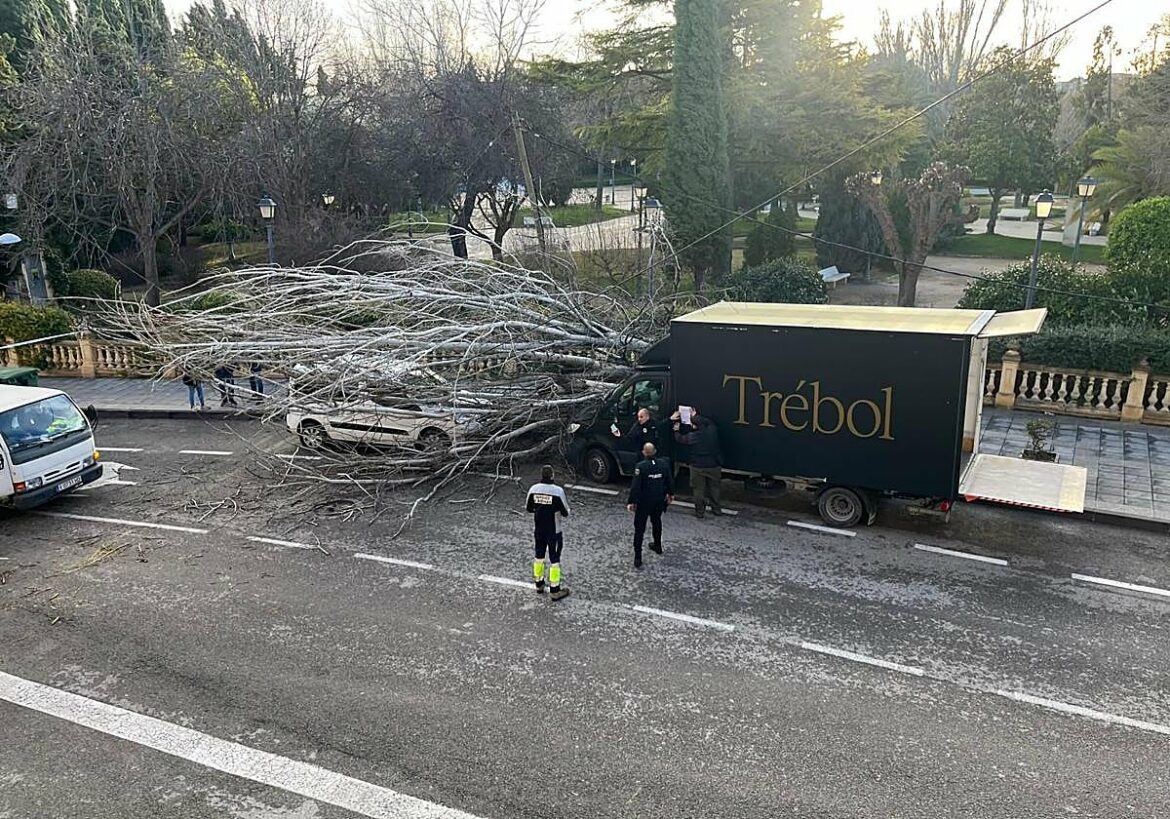 El aviso por fuertes vientos provoca el cierre del espacio deportivo Javier Miñano y los parques de Cehegín