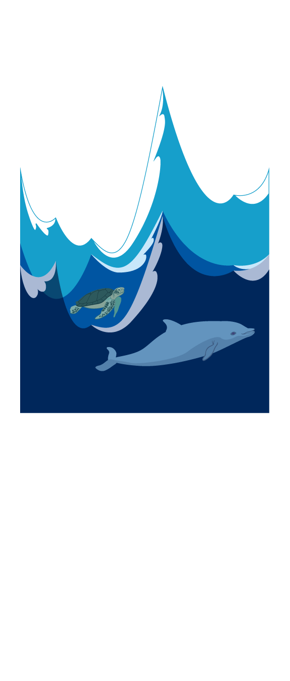 La investigación sobre la muerte de cuatro cetáceos en la Región de Murcia y Almería descarta las causas naturales