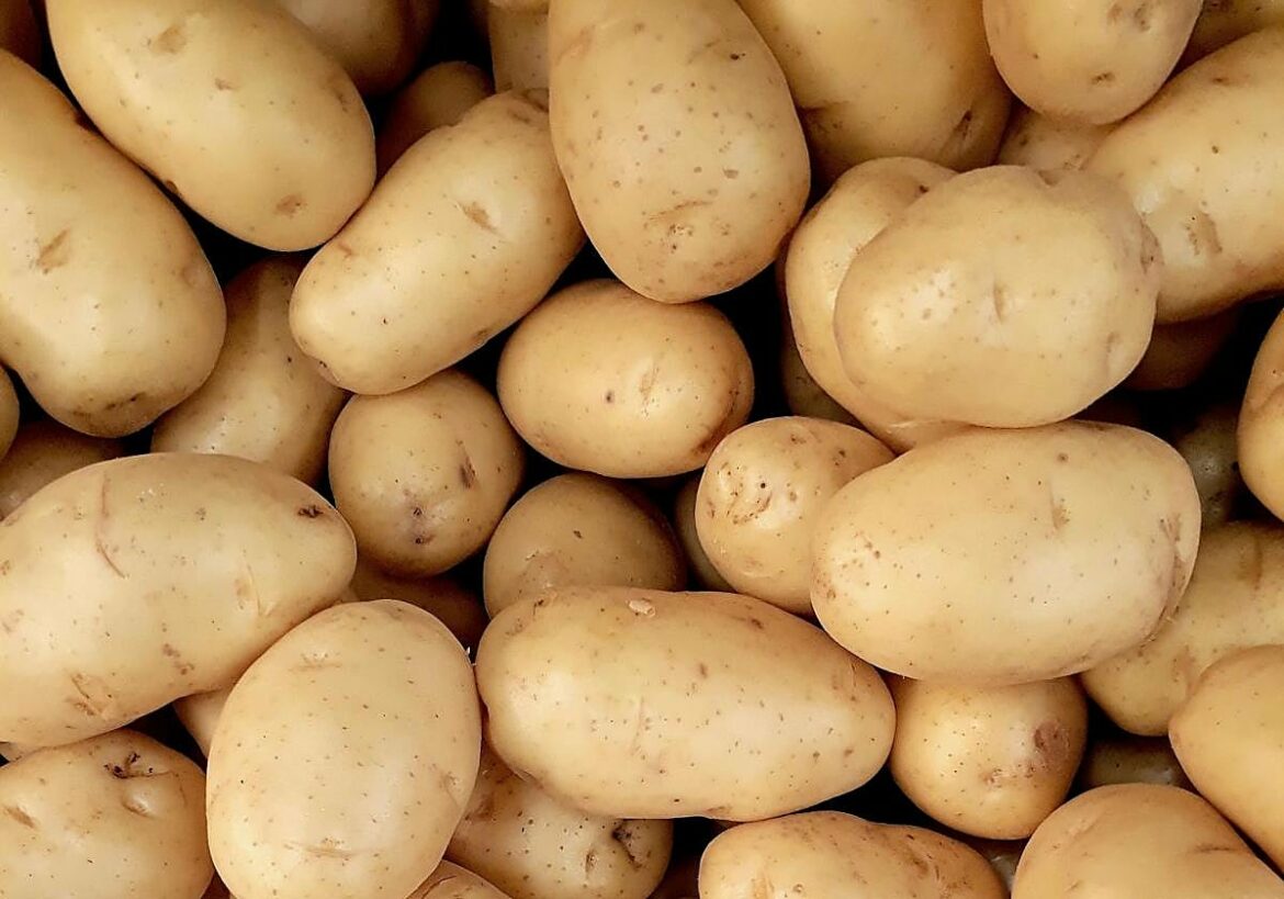 El curioso truco de una abuela para evitar que salgan raíces en las patatas