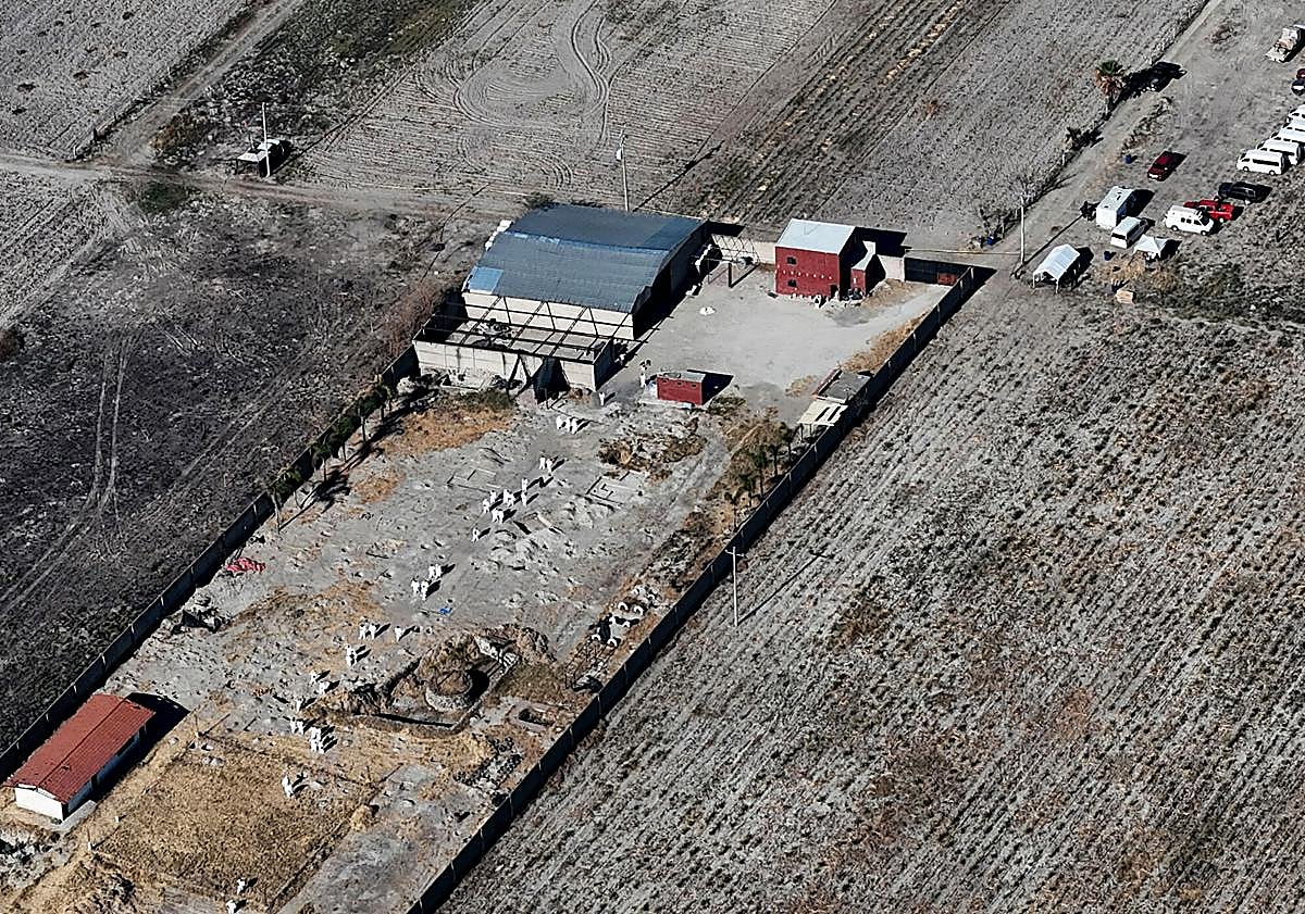 Imagen principal - Así nació el cartel de Jalisco: la herencia de los peores criminales de México