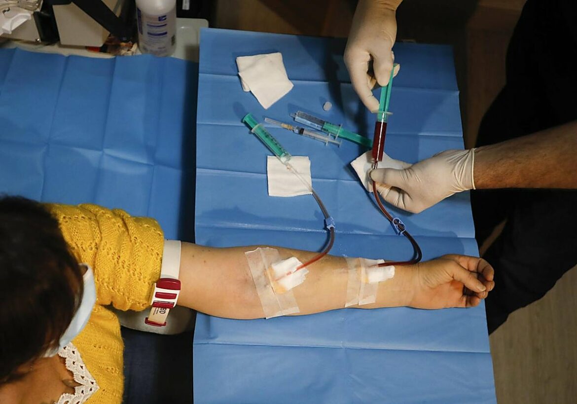 La Región de Murcia sigue registrando elevadas tasas de enfermedad renal crónica