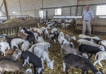 Cara para la industria y cruz para el agro en el peaje del pacto comercial UE-Australia para la Región de Murcia