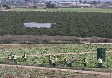 La fruta de hueso y la uva de la Región buscan crecer en Sudamérica impulsados por Mercosur