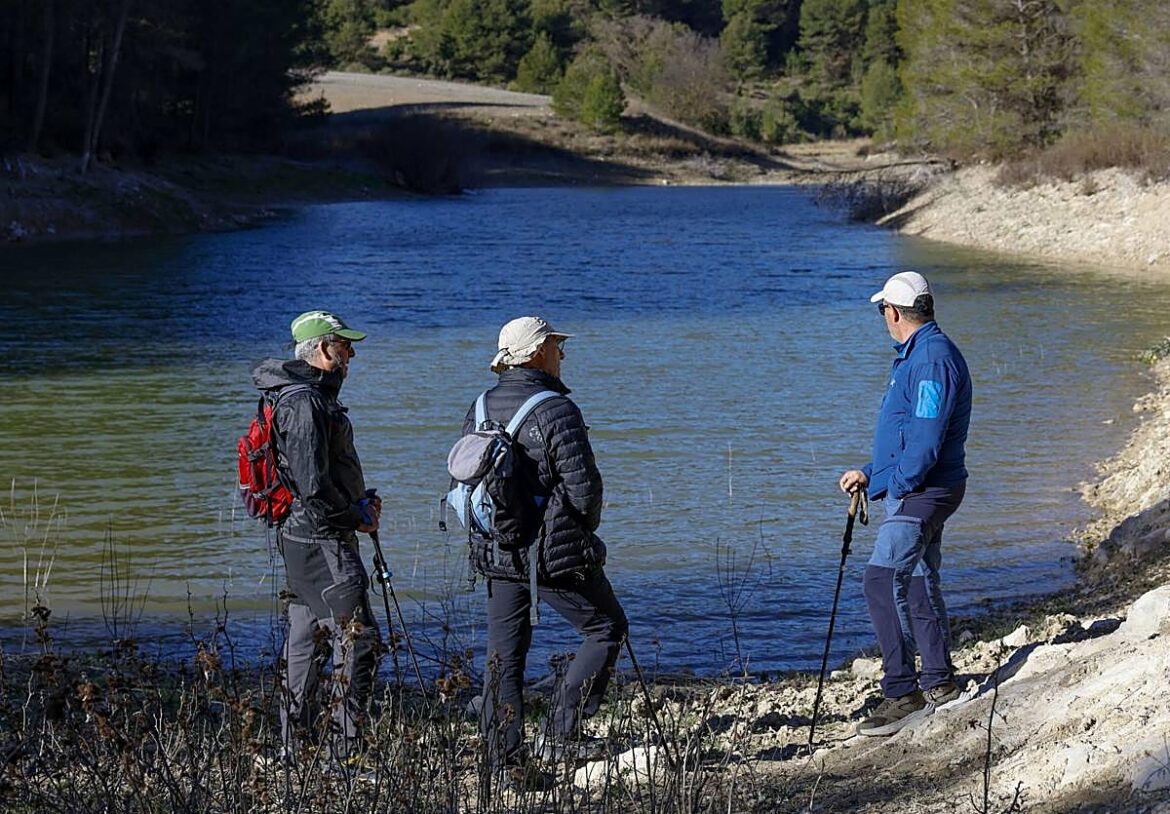 Medio Ambiente intervendrá en el 60% de las 35.000 hectáreas de bosque dañado por la última sequía