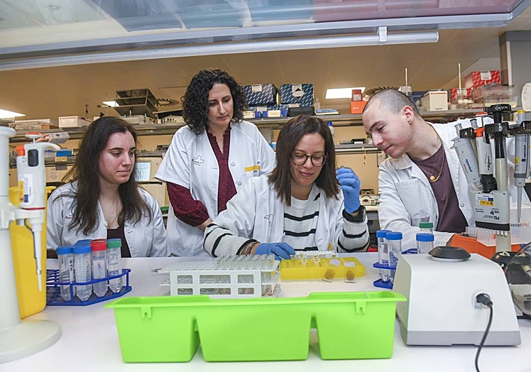 De la IA a la secuenciación masiva: la investigación para desenmascarar trastornos plaquetarios congénitos se lidera desde Murcia