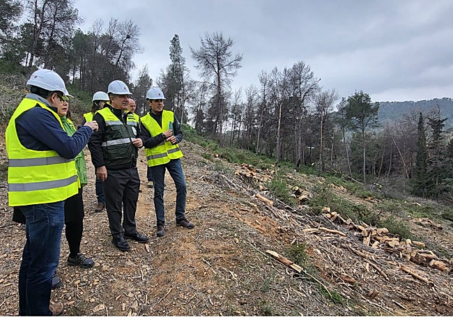 Visita del consejero Juan María Vázquez a las actuaciones forestales en el Puerto de la Cadena, este lunes.