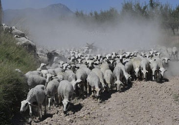 Cara para la industria y cruz para el agro en el peaje del pacto comercial UE-Australia para la Región de Murcia