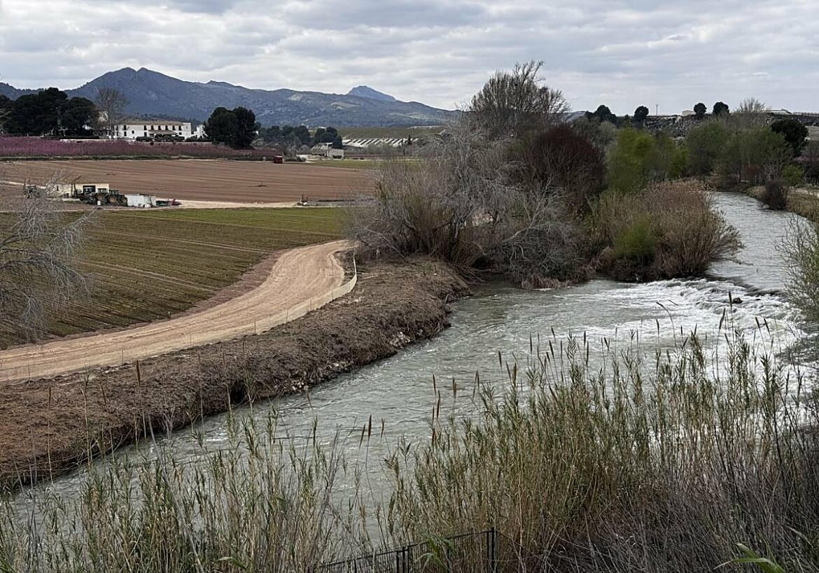 La cuenca del Segura vive su mejor periodo en 15 años por los recursos propios y el Trasvase