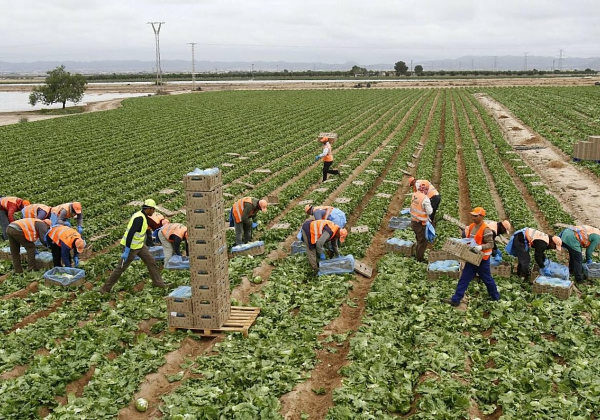 El CES subraya que la expansión del empleo y el consumo interno impulsan la economía regional