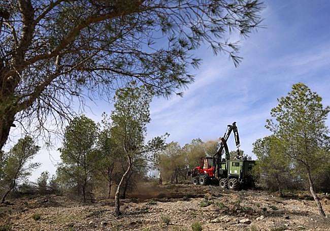 Coto Cuadros contará con 62 kilómetros de nuevos senderos naturales en junio