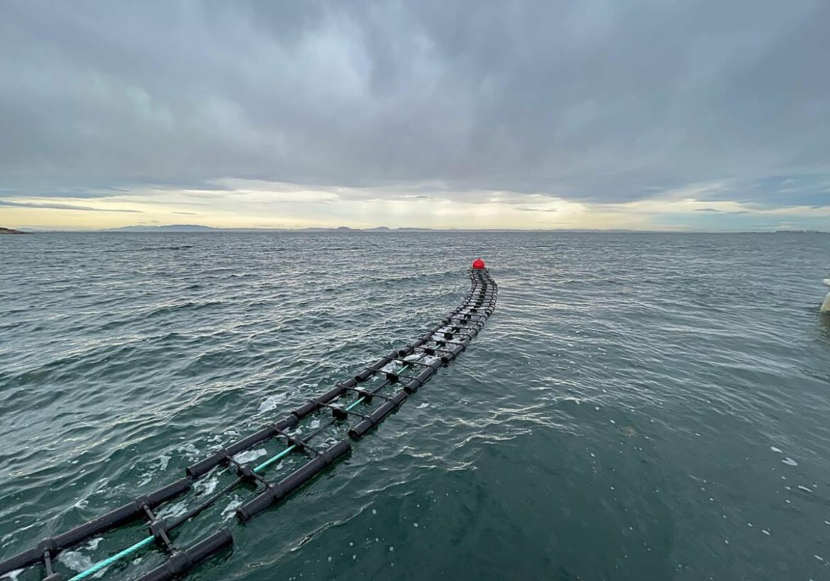 El robo de ostras reabre el debate de una guardia costera para vigilar el Mar Menor