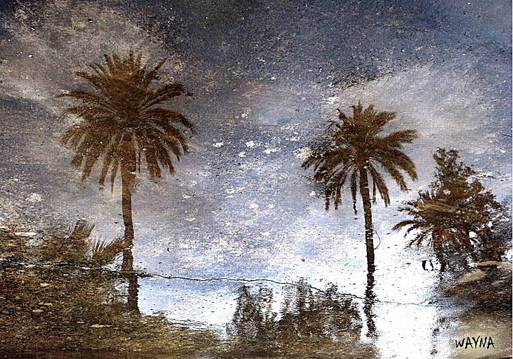 Fotografías de la serie 'Reflexiones valricotíes', homenaje a las palmeras datileras y adelanto de la próxima exposición.