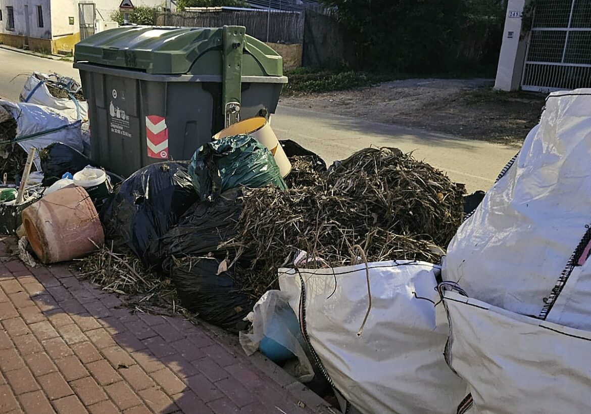 Vecinos del Rincón de Beniscornia en Murcia claman contra la acumulación de podas y otros residuos: «Llegan con la basura y al montón»