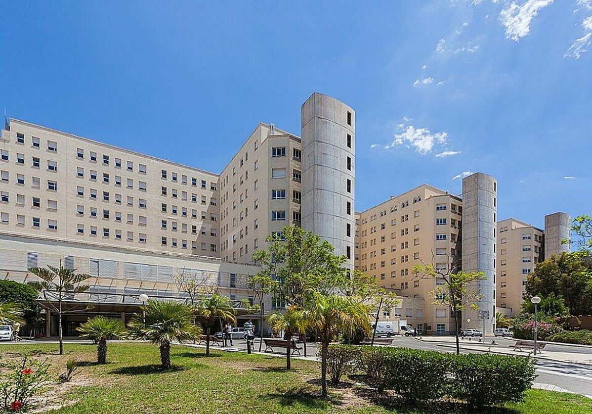 Herido un bebé de cinco meses al ser atacado por un perro en Abanilla