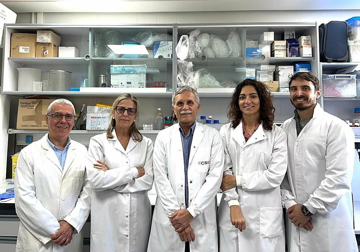 El CEBAS-CSIC demuestra que el azúcar del zumo natural de naranja genera menos picos de glucosa que los refrescos