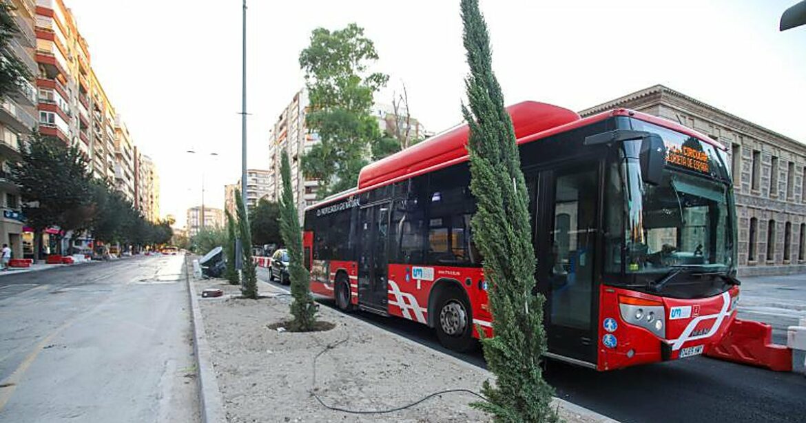 El PSOE de Murcia acusa a Guillén de contratar «a dedo» la nueva vegetación de las obras de movilidad