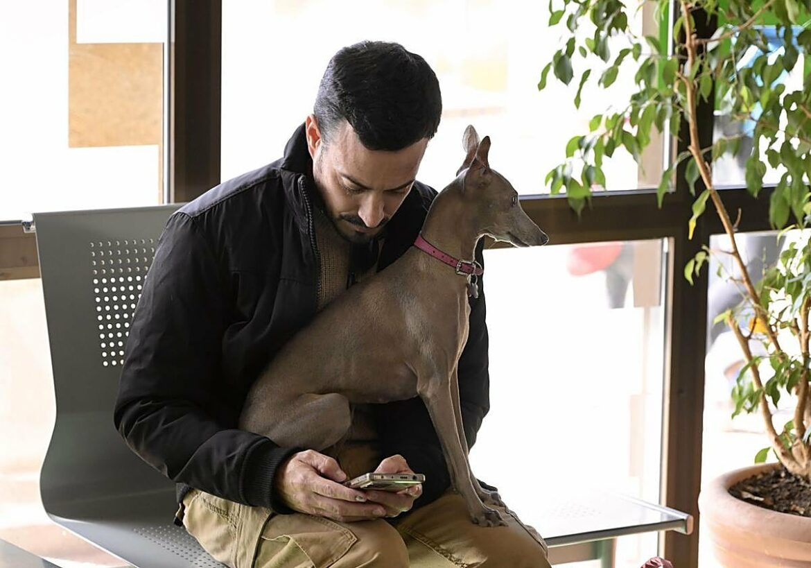 La campaña de la renta trae nuevas deducciones para los murcianos