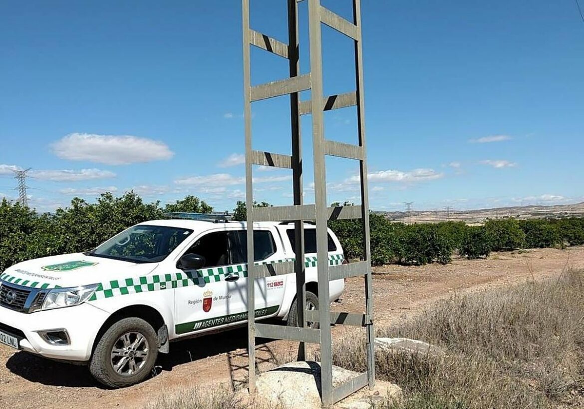 El riesgo de electrocución de aves obliga a corregir 130 apoyos