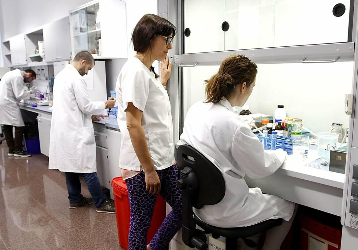 La Región crea una red de científicos en el exterior para vincularlos a proyectos y captar talento