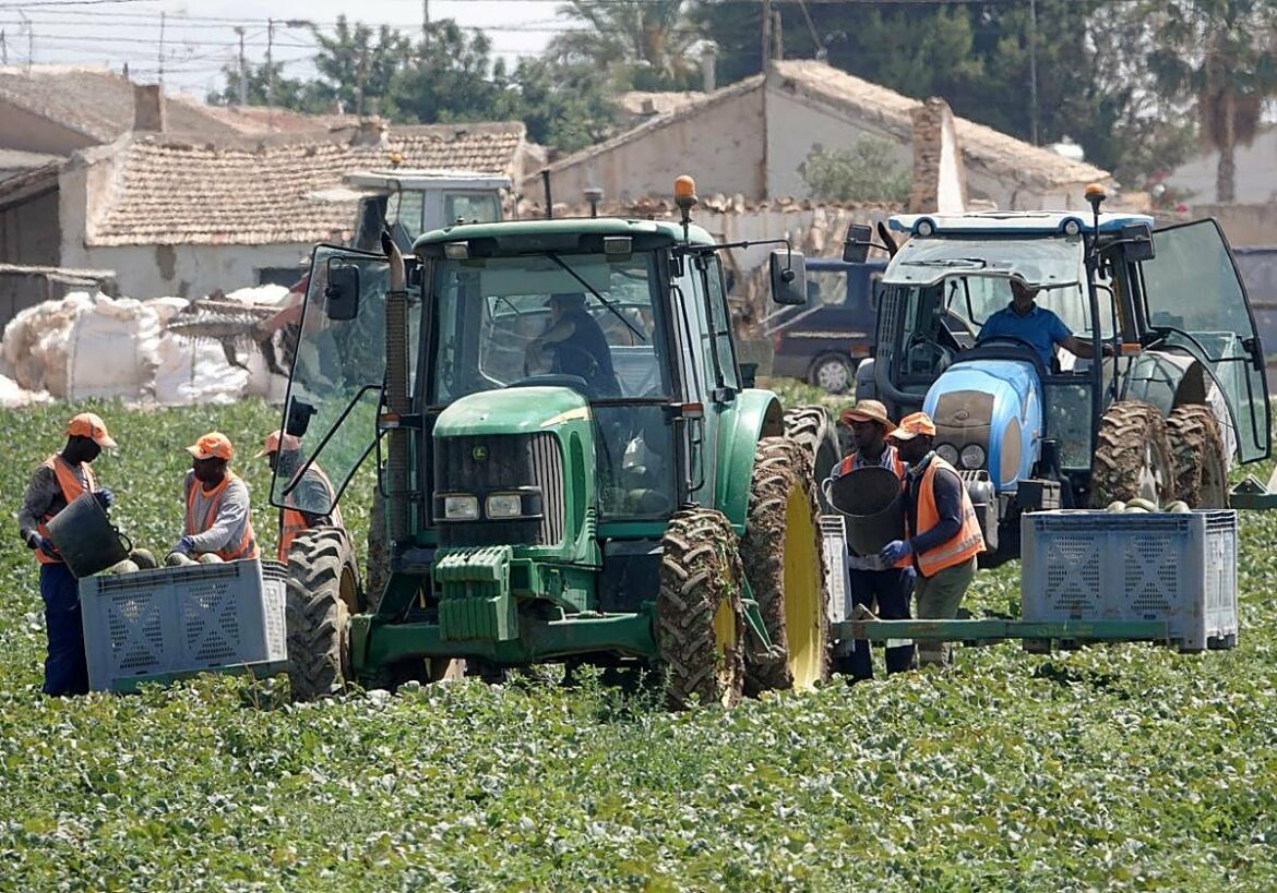 El agro regional enfrenta una caída de la producción para soportar el sobrecoste de cultivar en plena guerra