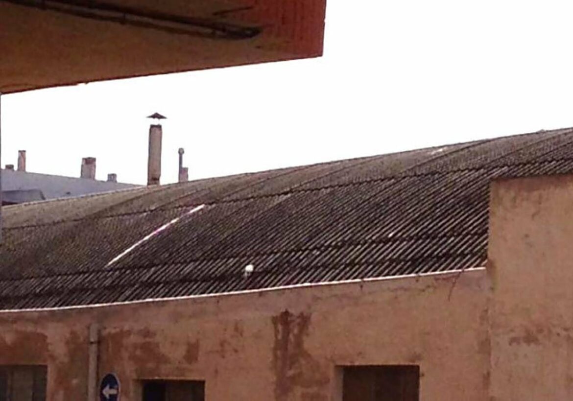 Casi 2.100 edificios de Yecla, cuatro de ellos públicos, mantienen tejados de amianto