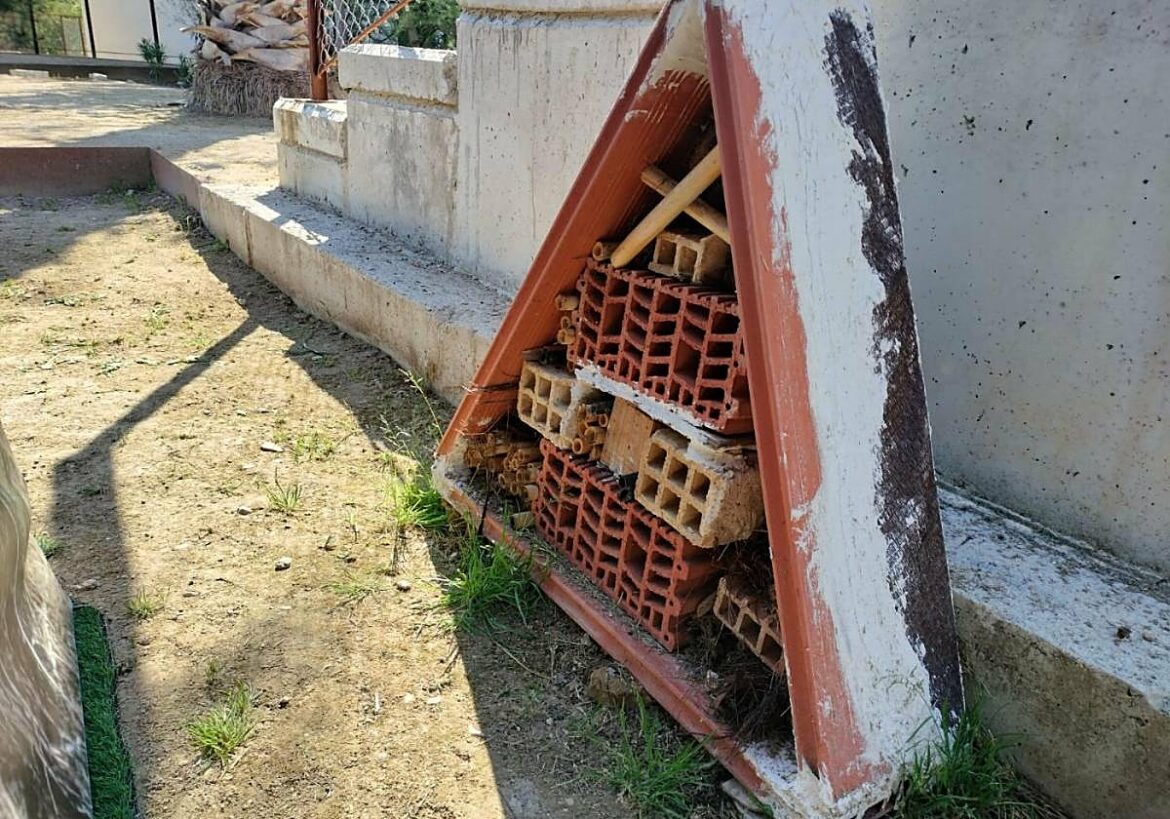 Hoteles de insectos en Murcia para recuperar las poblaciones de especies polinizadoras