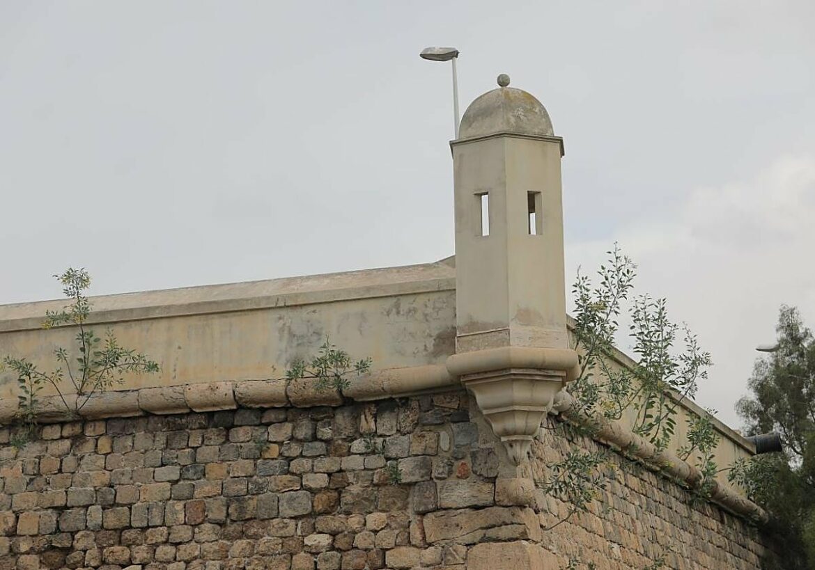 La vegetación toma la muralla de Carlos III, en Cartagena, junto al Hospital de Marina