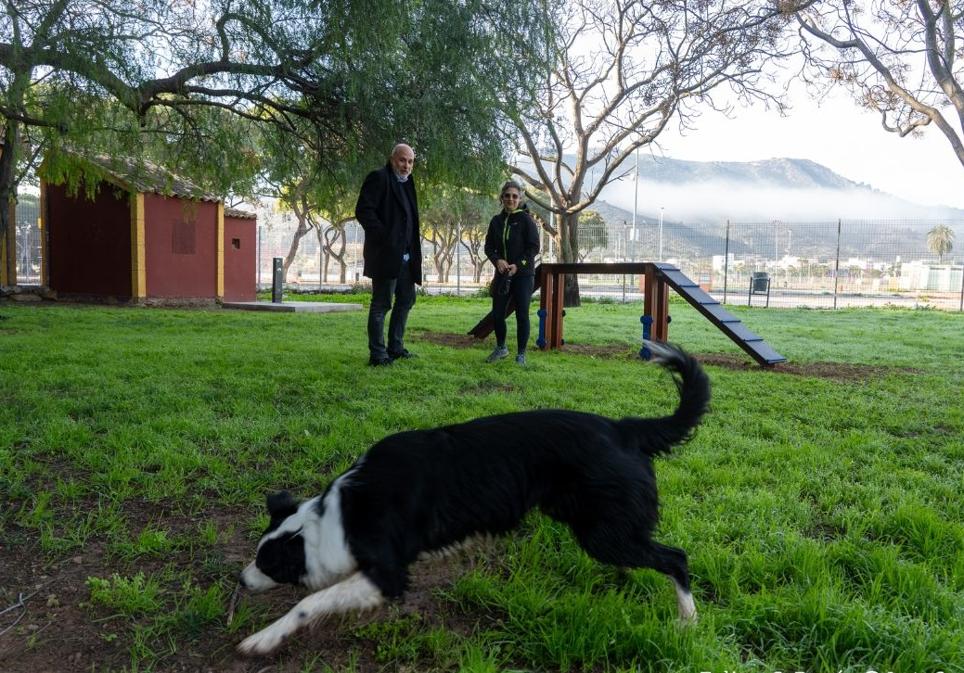 Un can juega en la zona canina inaugurada este año en Cartagena, en el parque Vallejo Alberola.