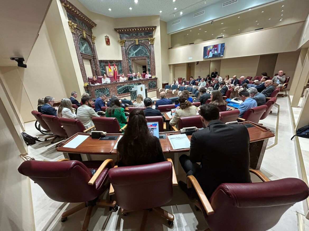 Vox se queda solo con su propuesta de eliminar el registro de sanitarios objetores de conciencia en la Región de Murcia