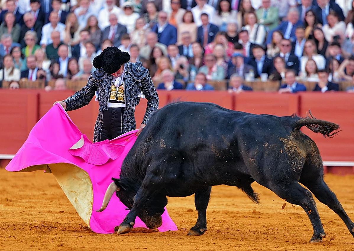 Imagen secundaria 1 - Morante este domingo en La Maestranza. 