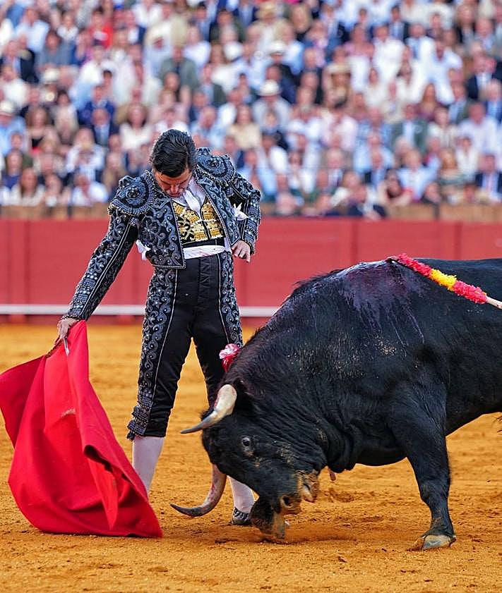 Imagen secundaria 2 - Morante este domingo en La Maestranza. 