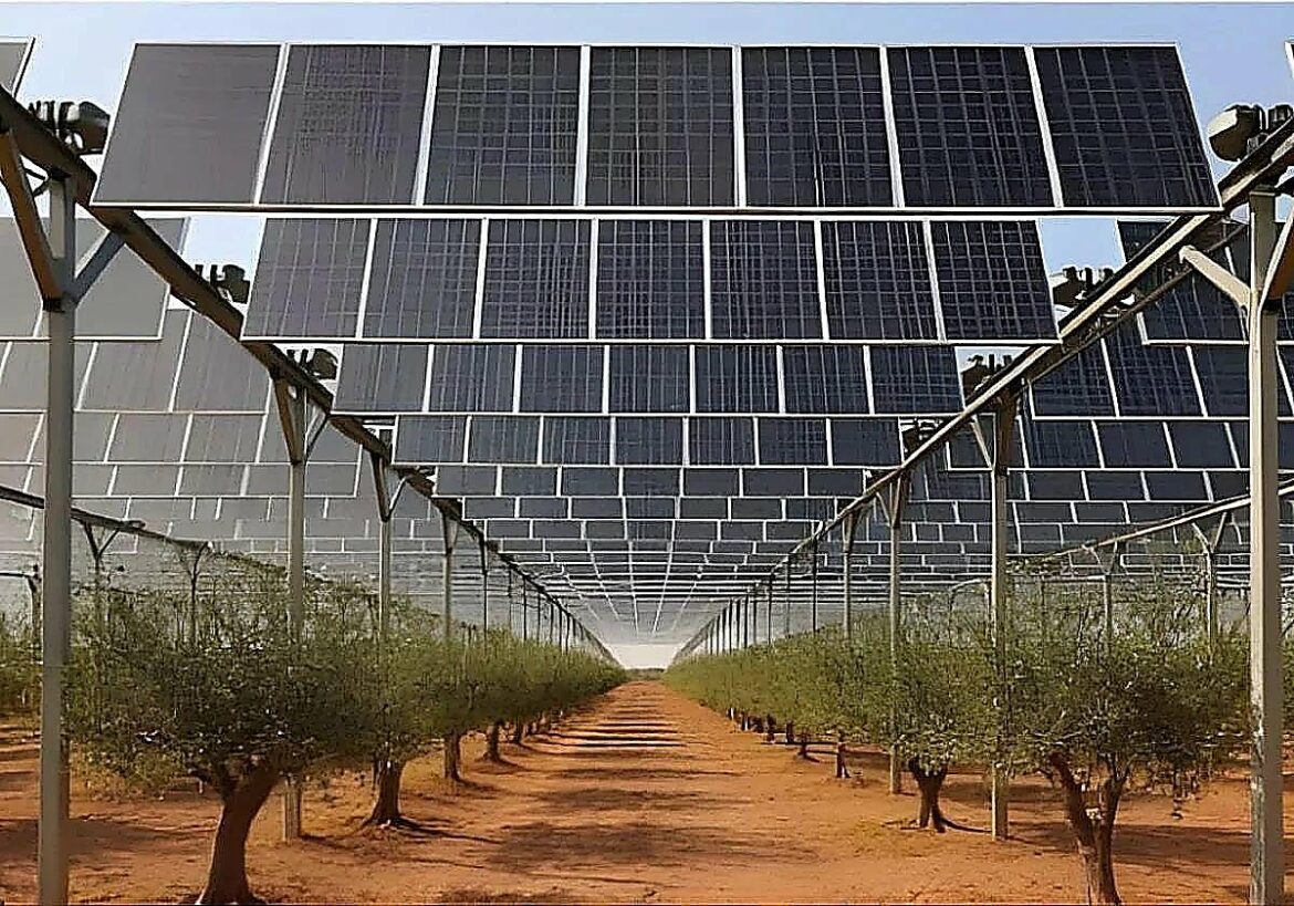 Un tribunal autoriza a Nefer Power a instalar su planta solar en Los Belones