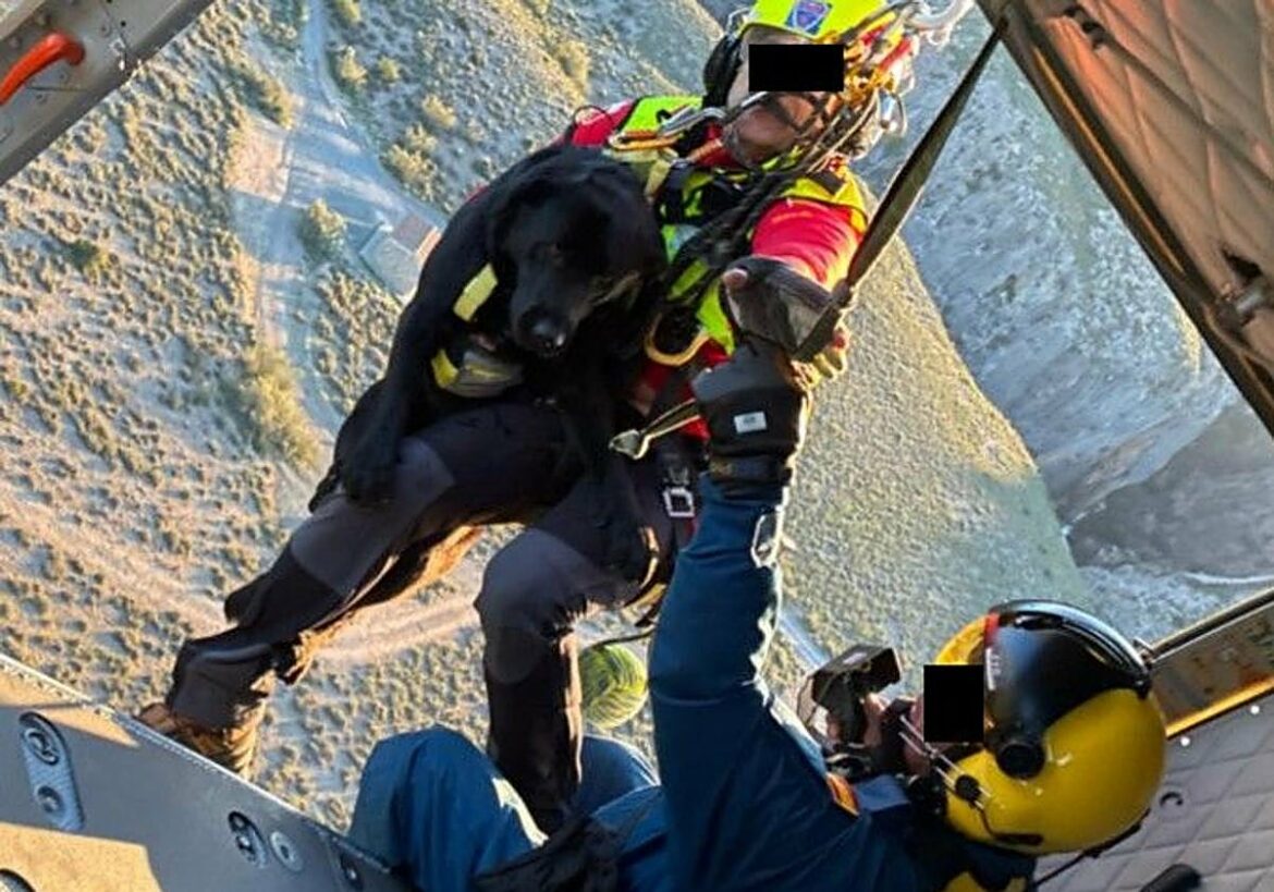 Rescatan en helicóptero a un perro en el Cañón de Almadenes