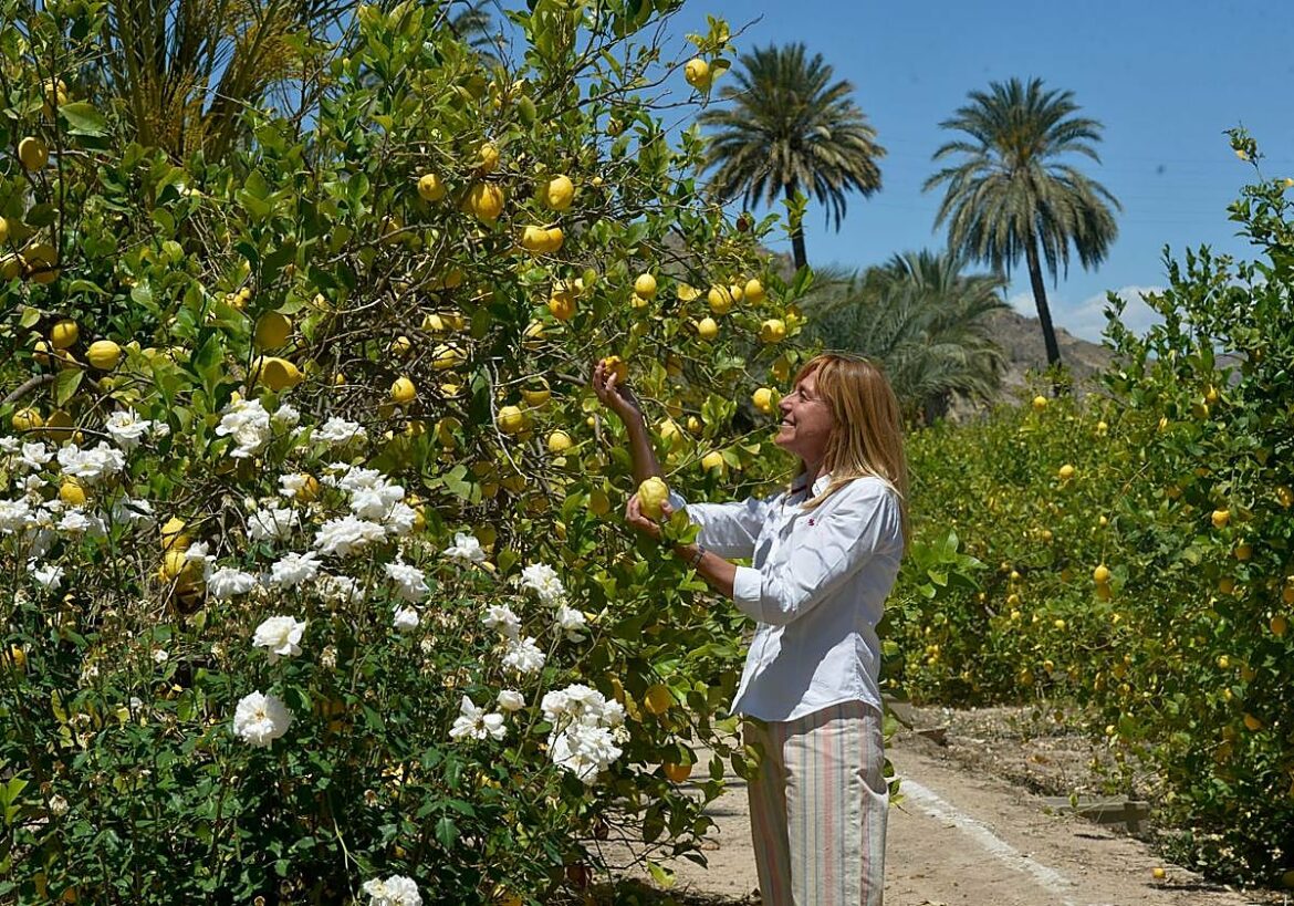 Literatura cítrica en el Valle de Ricote