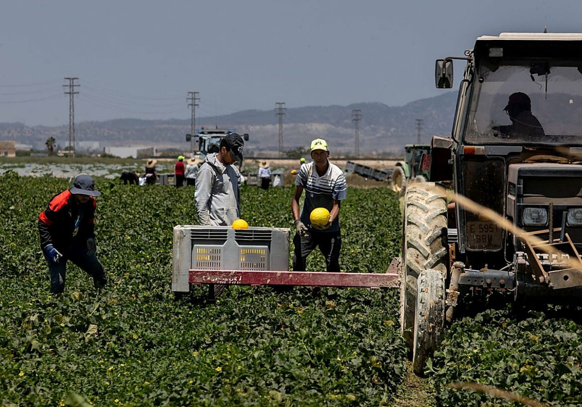 El Gobierno celebra el «aval» del Consejo de Estado a la regularización de medio millón de inmigrantes