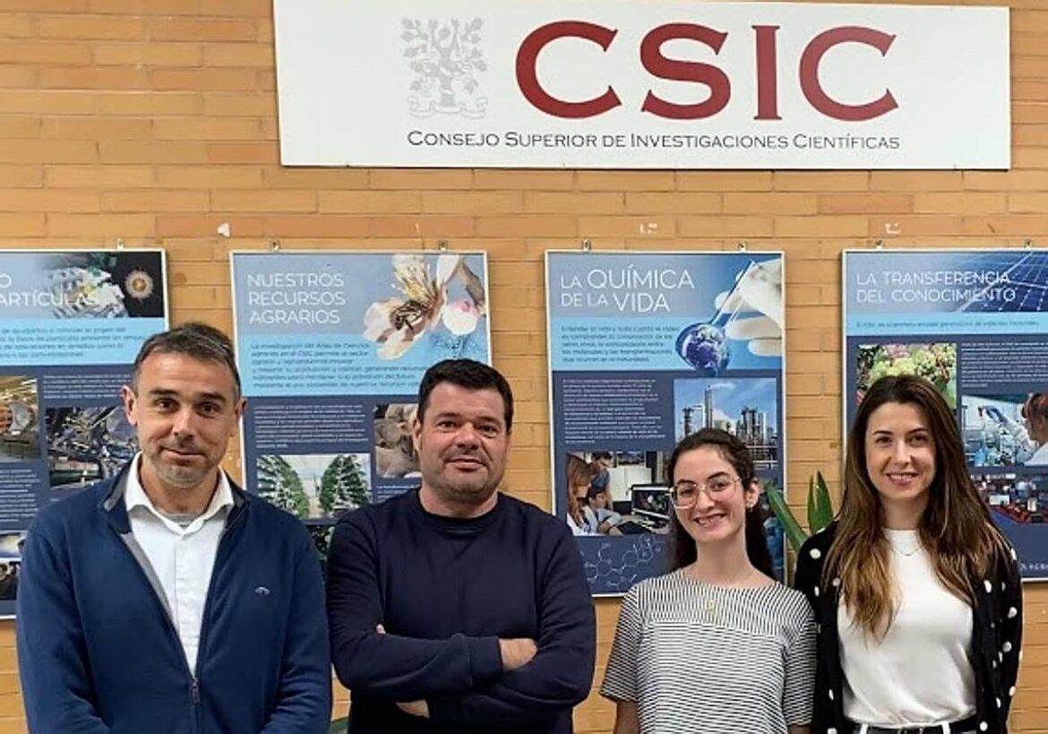 Una investigación del CEBAS vincula la dieta mediterránea con la salud cerebral