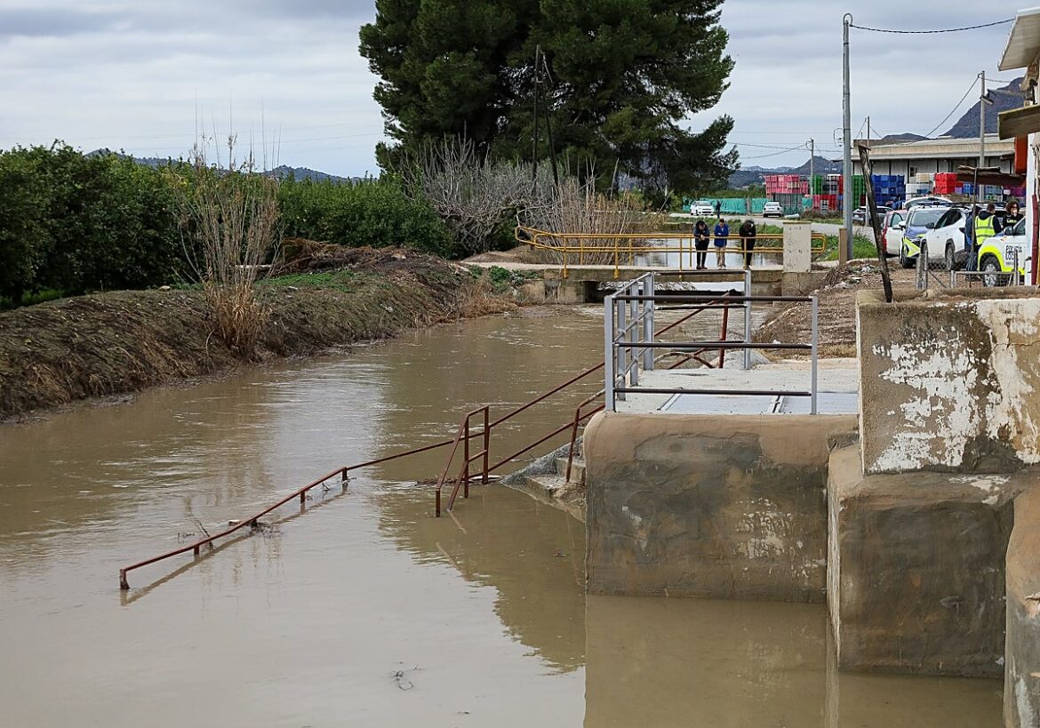 Nuevo ciclo en la cuenca del Segura con más presión contaminante para los ríos