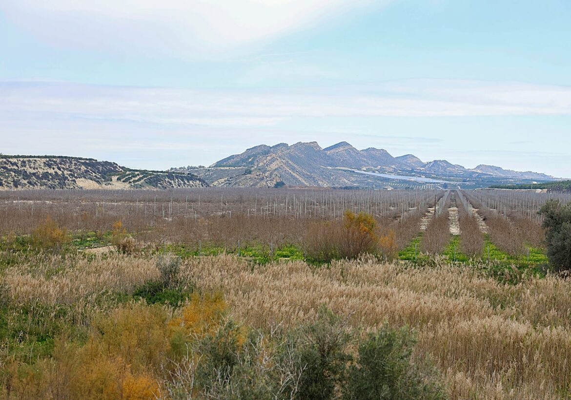 Freno ambiental a una macroplanta solar entre Murcia y Alicante