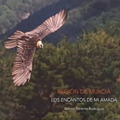 Imagen - El quebrantahuesos 'Quebrantón' guía esta ruta por los ecosistemas de la Región dignos de preservar