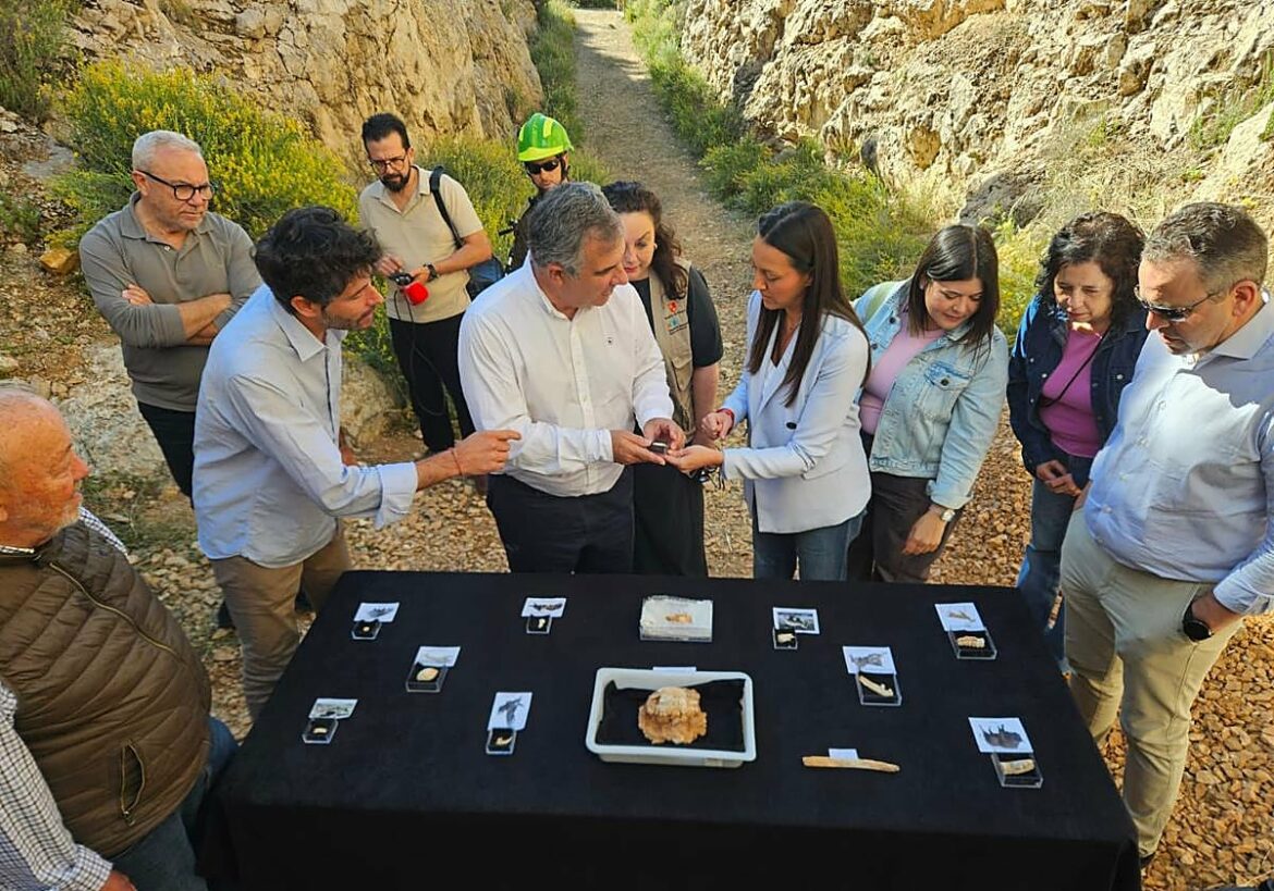 El yacimiento de Quibas tendrá una réplica exacta del lince ibérico hallado en Abanilla