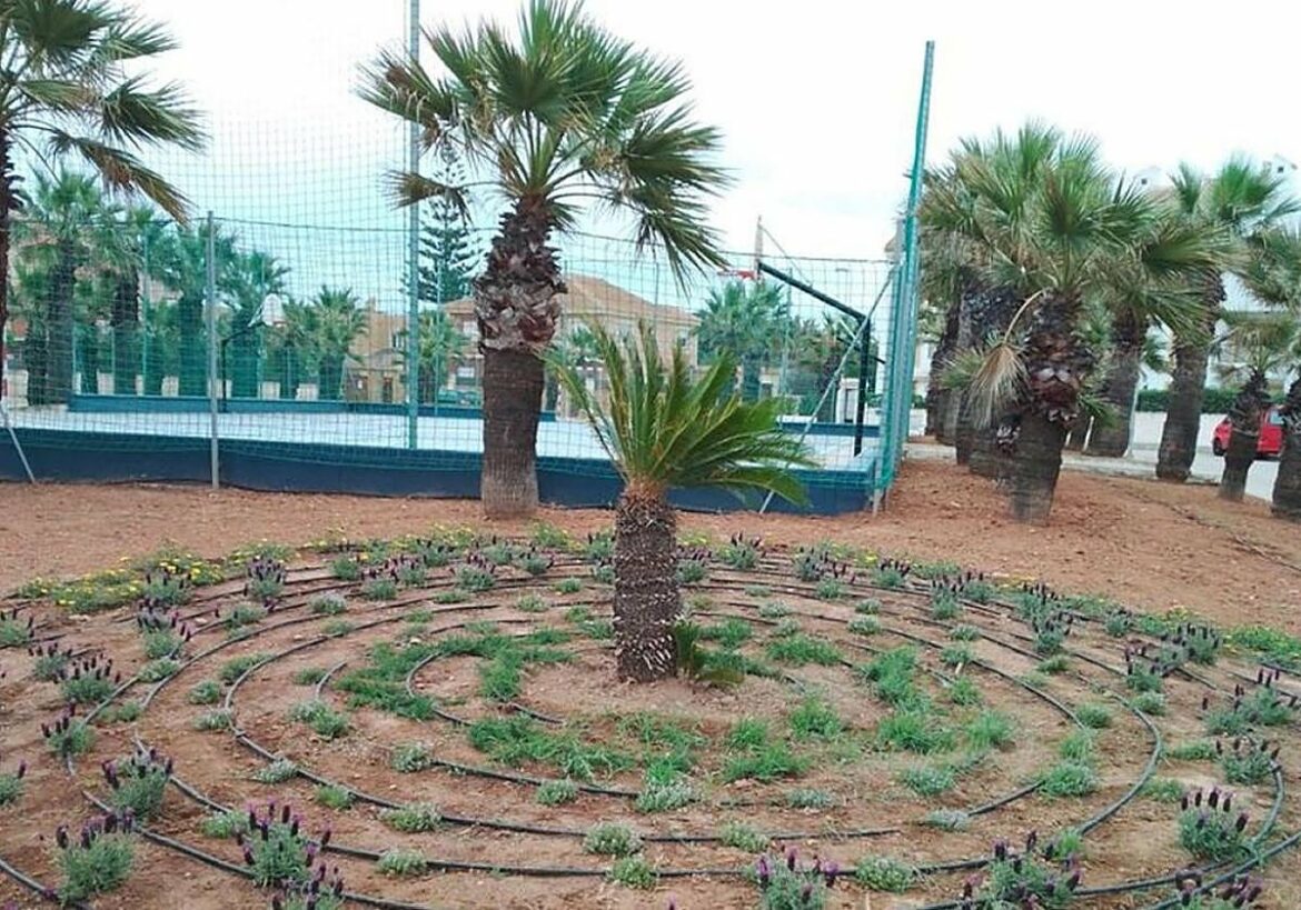 La plaza de Las Galeotas de Cabo de Palos estrena nuevo diseño y flora autóctona