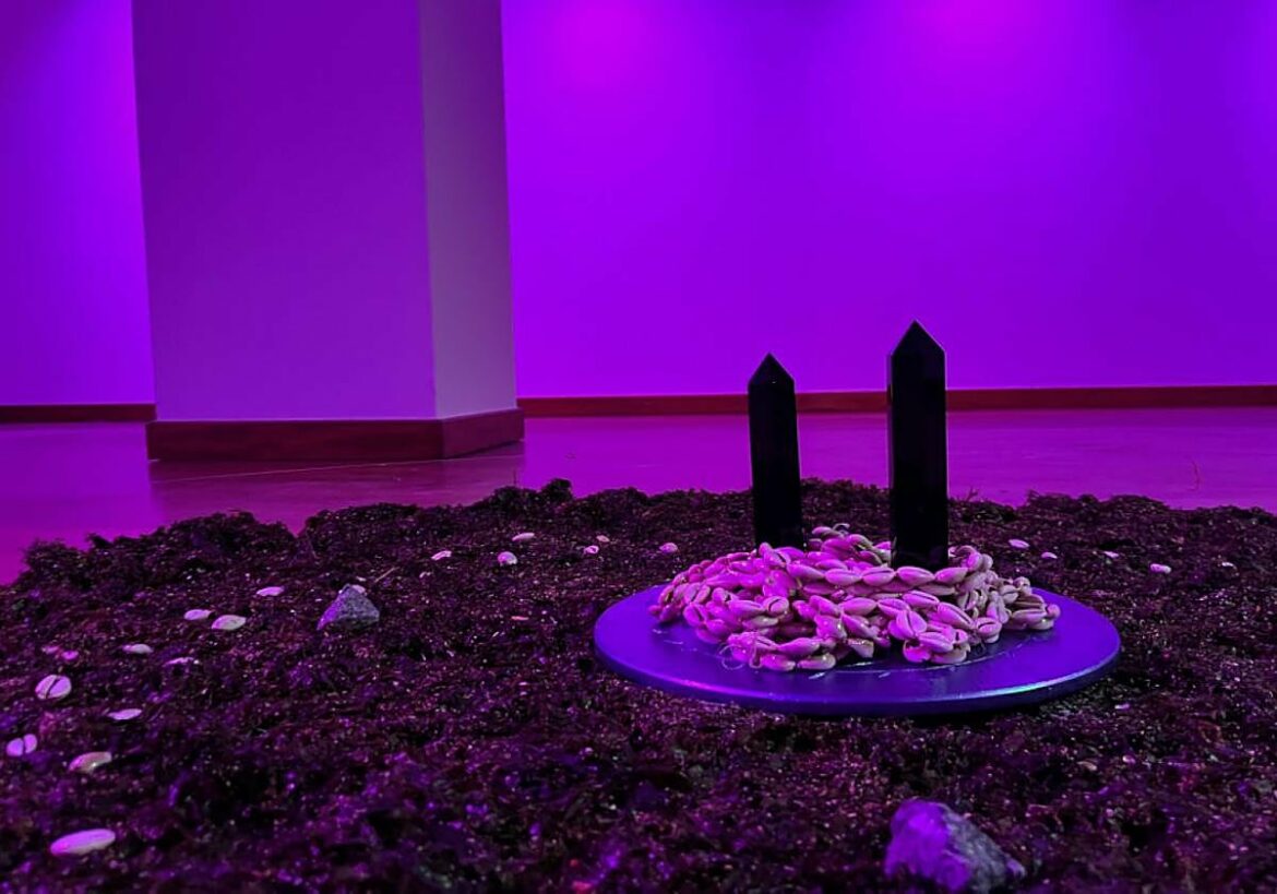 El luso Paulo Arraiano muestra su poética del paisaje oceánico