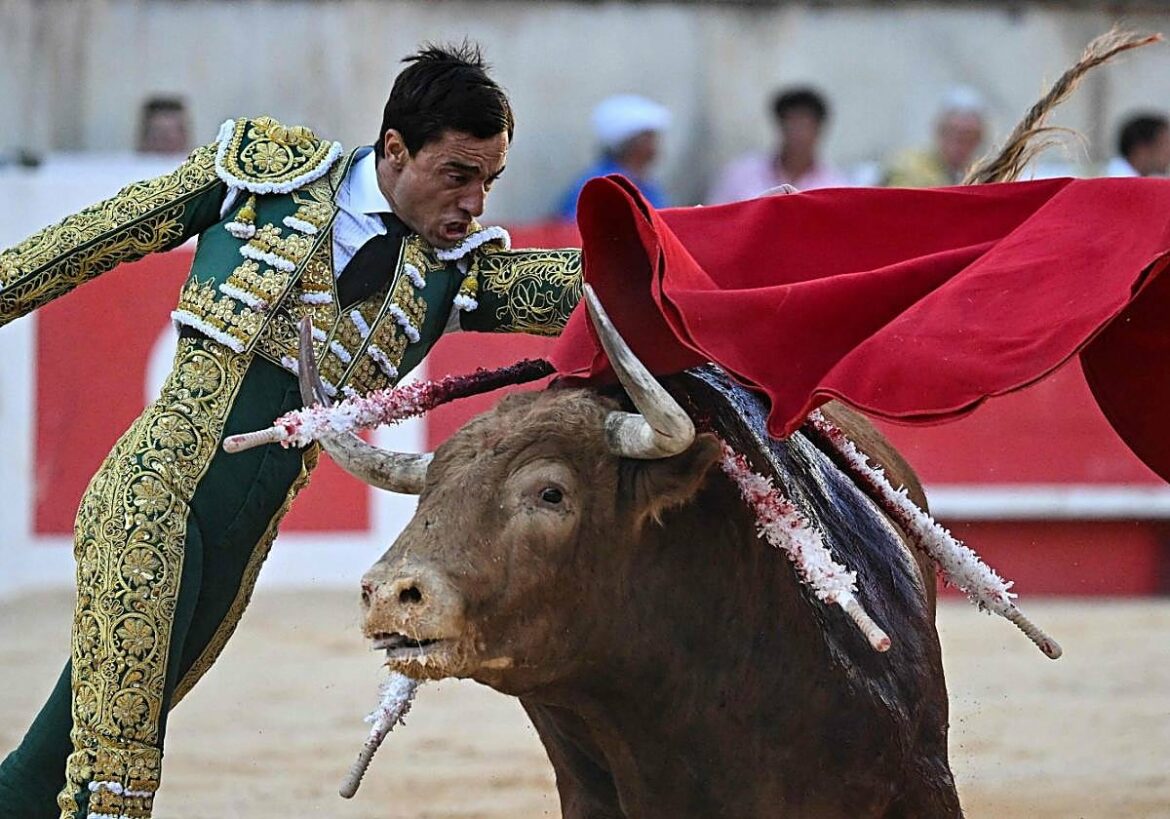 Esfuerzo de Paco Ureña sin premio en la Feria de Pentecostés de Nimes