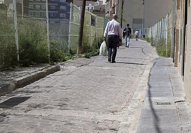 La proliferación de palomas y bichos desata las quejas vecinales en Cartagena