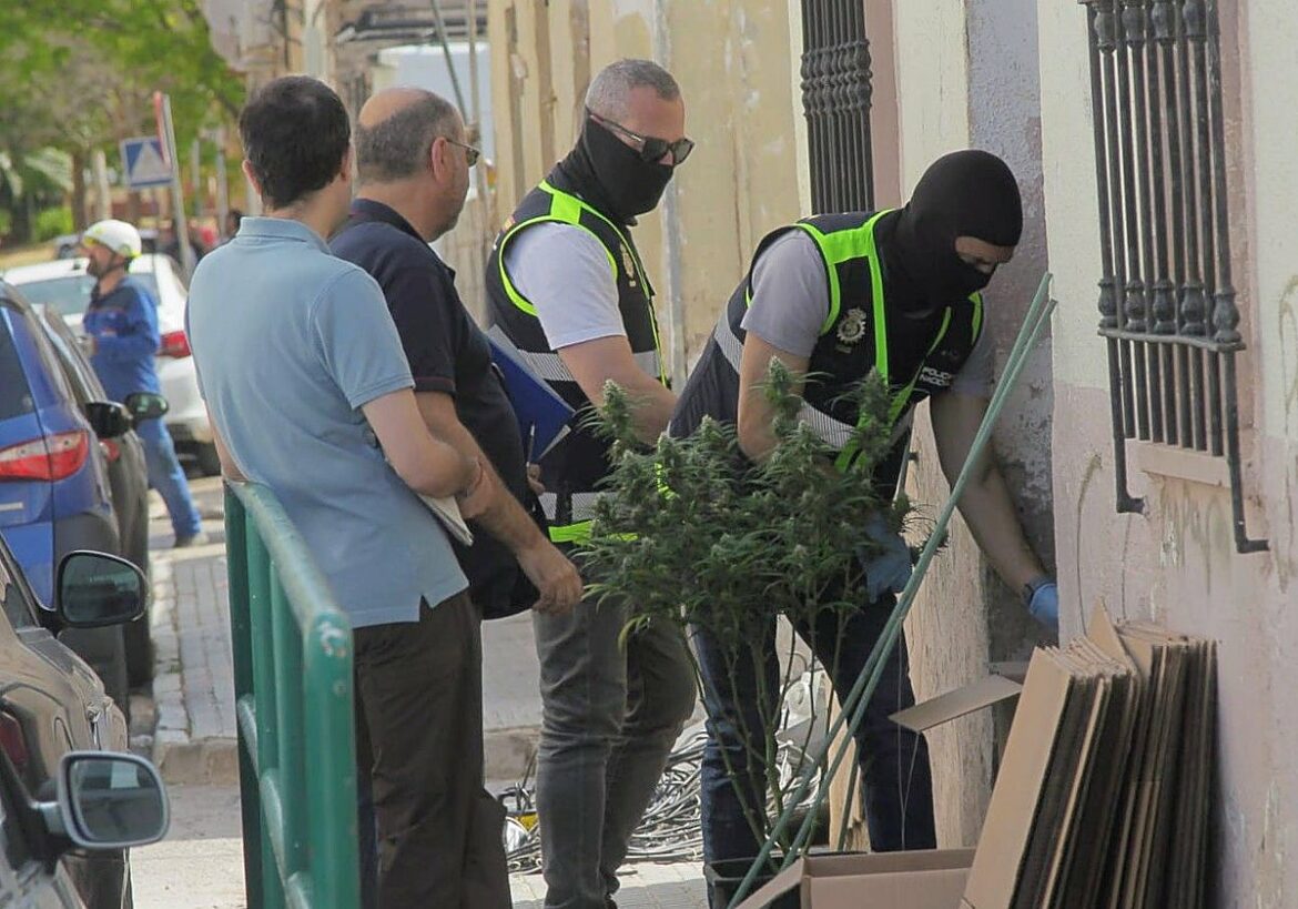 Un nuevo golpe contra el tráfico de marihuana en Cartagena se salda con tres detenidos
