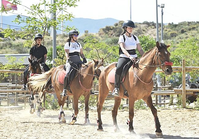 Terapia con caballos para tomar las riendas contra el trauma de la violencia sexual: «Se produce una simbiosis; ellos también se recuperan»