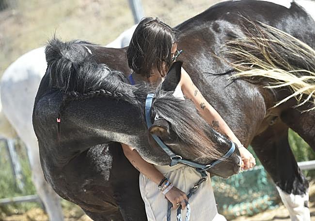 Una de las técnicas en terapia asistida con caballos abraza a uno de los animales.